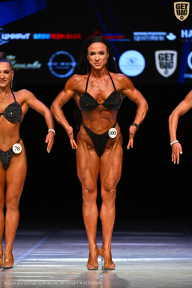 Кубок Вологодской области по бодибилдингу - 2026