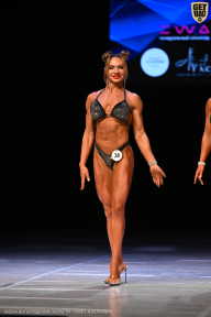 Кубок Вологодской области по бодибилдингу - 2026