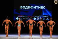 Кубок Вологодской области по бодибилдингу - 2026