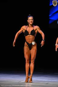 Кубок Вологодской области по бодибилдингу - 2026