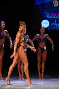 Кубок Вологодской области по бодибилдингу - 2026