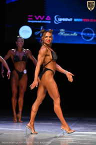 Кубок Вологодской области по бодибилдингу - 2026