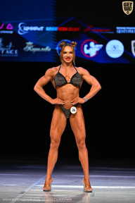 Кубок Вологодской области по бодибилдингу - 2026