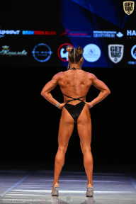 Кубок Вологодской области по бодибилдингу - 2026