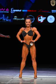 Кубок Вологодской области по бодибилдингу - 2026