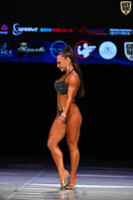 Кубок Вологодской области по бодибилдингу - 2026