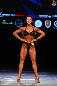 Кубок Вологодской области по бодибилдингу - 2026