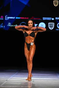 Кубок Вологодской области по бодибилдингу - 2026