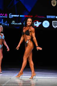 Кубок Вологодской области по бодибилдингу - 2026