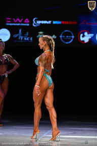 Кубок Вологодской области по бодибилдингу - 2026