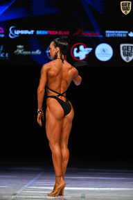 Кубок Вологодской области по бодибилдингу - 2026