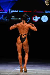 Кубок Вологодской области по бодибилдингу - 2026