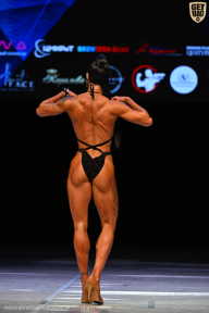 Кубок Вологодской области по бодибилдингу - 2026