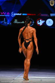 Кубок Вологодской области по бодибилдингу - 2026