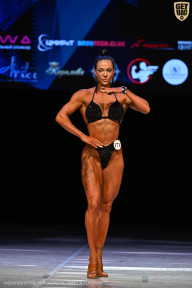 Кубок Вологодской области по бодибилдингу - 2026