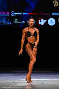 Кубок Вологодской области по бодибилдингу - 2026