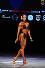 Кубок Вологодской области по бодибилдингу - 2026