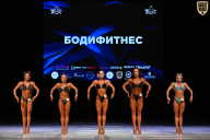 Кубок Вологодской области по бодибилдингу - 2026