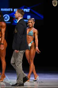 Кубок Вологодской области по бодибилдингу - 2026