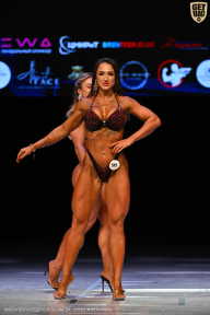 Кубок Вологодской области по бодибилдингу - 2026