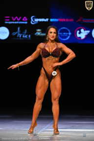 Кубок Вологодской области по бодибилдингу - 2026