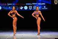 Кубок Вологодской области по бодибилдингу - 2026