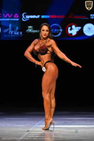 Кубок Вологодской области по бодибилдингу - 2026