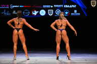 Кубок Вологодской области по бодибилдингу - 2026