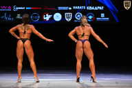 Кубок Вологодской области по бодибилдингу - 2026