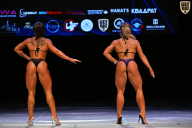 Кубок Вологодской области по бодибилдингу - 2026