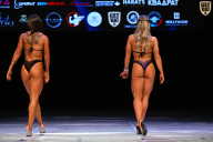 Кубок Вологодской области по бодибилдингу - 2026