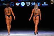 Кубок Вологодской области по бодибилдингу - 2026