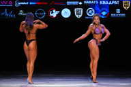 Кубок Вологодской области по бодибилдингу - 2026