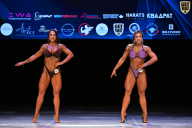 Кубок Вологодской области по бодибилдингу - 2026