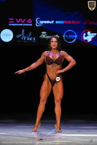 Кубок Вологодской области по бодибилдингу - 2026