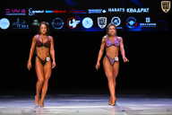 Кубок Вологодской области по бодибилдингу - 2026