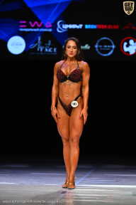 Кубок Вологодской области по бодибилдингу - 2026