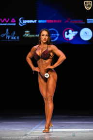 Кубок Вологодской области по бодибилдингу - 2026