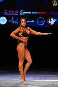 Кубок Вологодской области по бодибилдингу - 2026