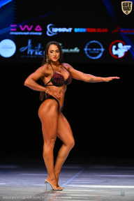 Кубок Вологодской области по бодибилдингу - 2026