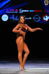 Кубок Вологодской области по бодибилдингу - 2026