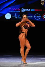 Кубок Вологодской области по бодибилдингу - 2026