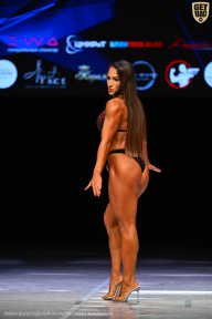 Кубок Вологодской области по бодибилдингу - 2026