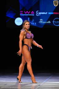 Кубок Вологодской области по бодибилдингу - 2026