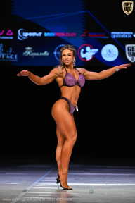 Кубок Вологодской области по бодибилдингу - 2026