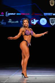 Кубок Вологодской области по бодибилдингу - 2026