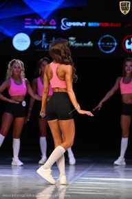 Кубок Вологодской области по бодибилдингу - 2026