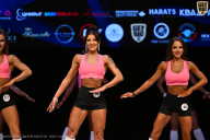 Кубок Вологодской области по бодибилдингу - 2026