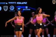 Кубок Вологодской области по бодибилдингу - 2026