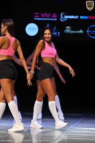 Кубок Вологодской области по бодибилдингу - 2026